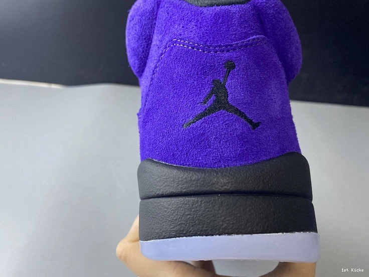  “Alternate 5 Jordan Grape” 136027-500 Air 0204